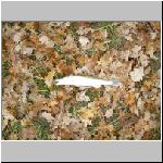 Majdalena 2.11.2008-10.JPG